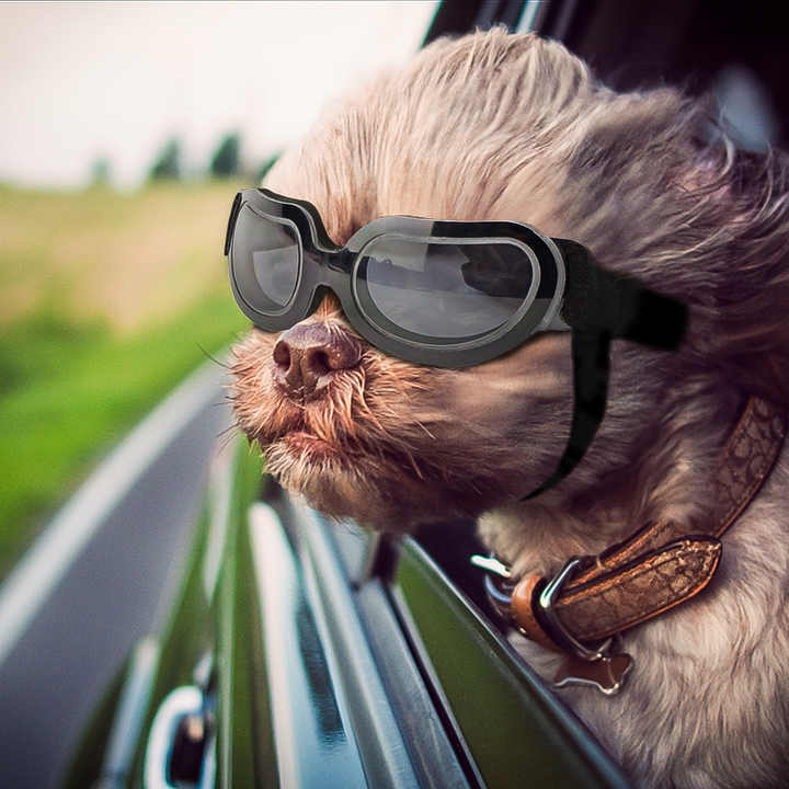 NNEDSZ Black Lenses Pet Sunglasses for Dogs and Cats - UV Protection, Adjustable Strap, Anti-Wind and Anti-Fog Pet Goggles